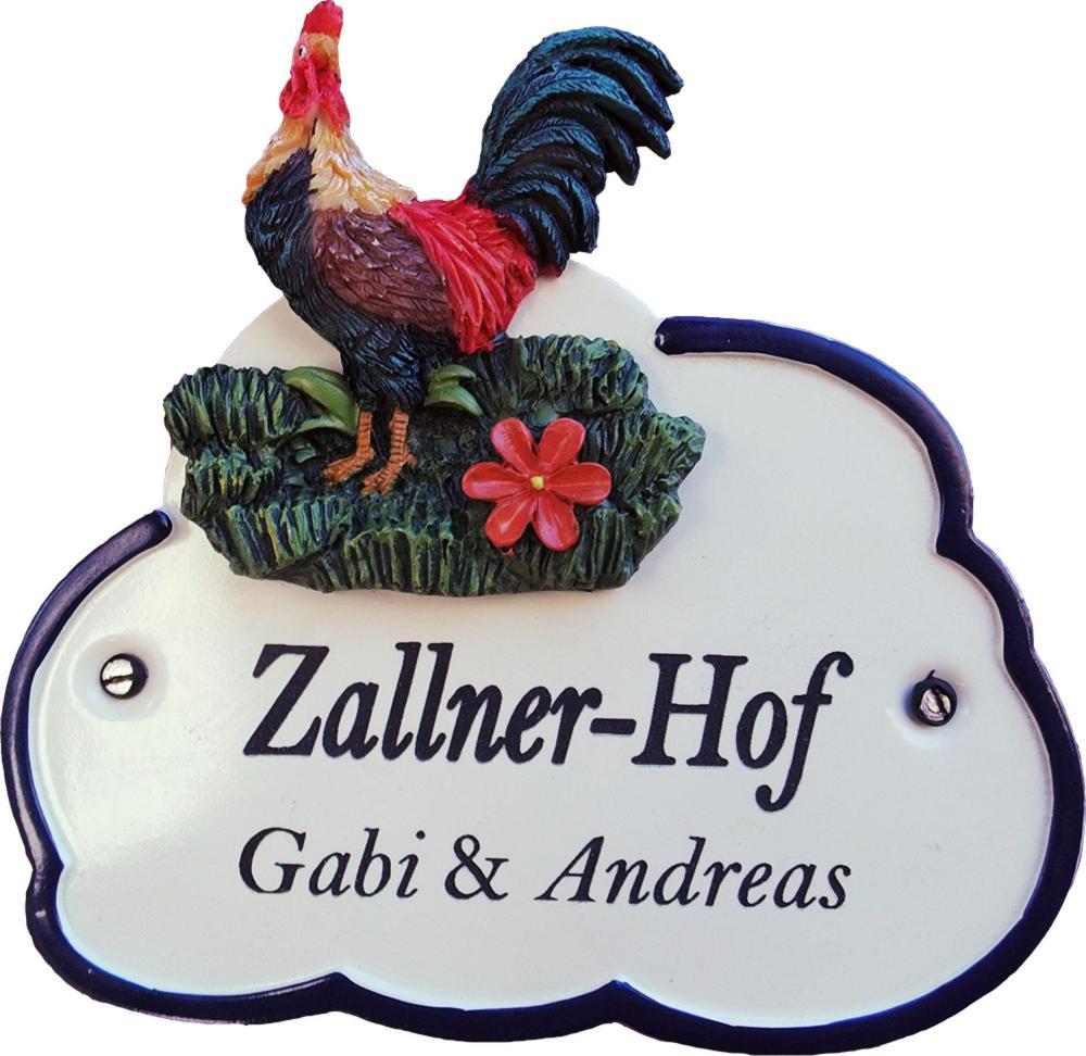 Ferienwohnung Zallnerhof Am Elberadweg In Steutz Esterno foto