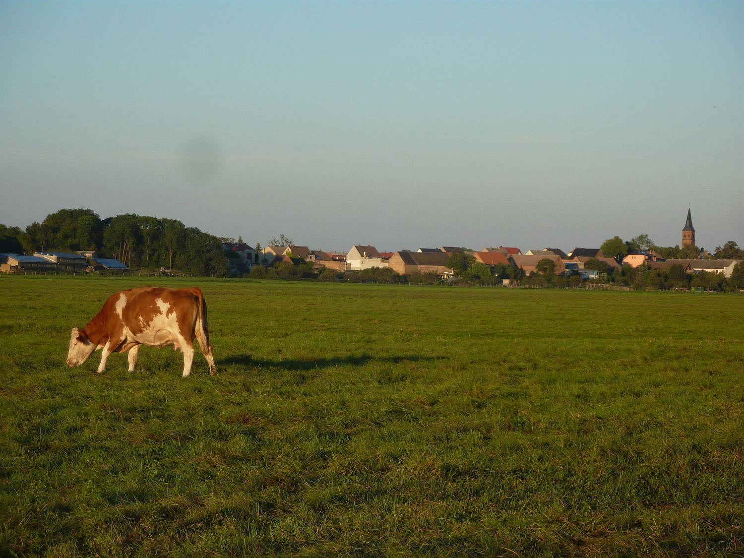 Ferienwohnung Zallnerhof Am Elberadweg In Steutz Esterno foto